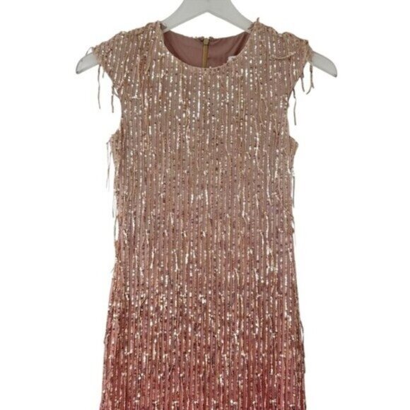 NWT Saint Art Aida Sequin Fringe Rose Gold Ombre Sleeveless Dress Size XXS - Picture 4 of 12